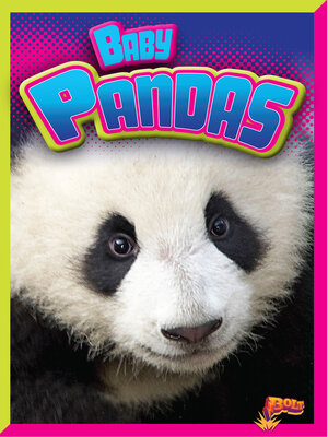 cover image of Baby Pandas